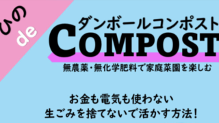 今月のオンライン講習会
