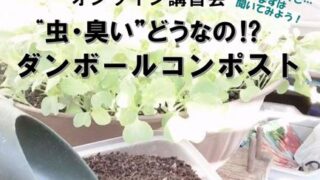 今月のダンボールコンポスト講習会【オンライン・会場式】